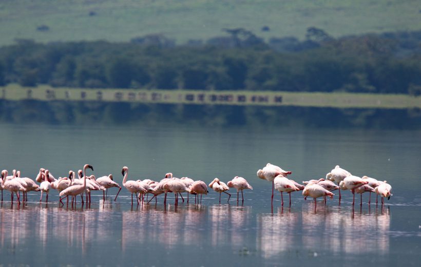 Lake Manyara National Park