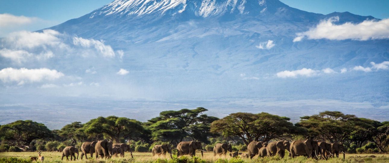 Top roof of Africa